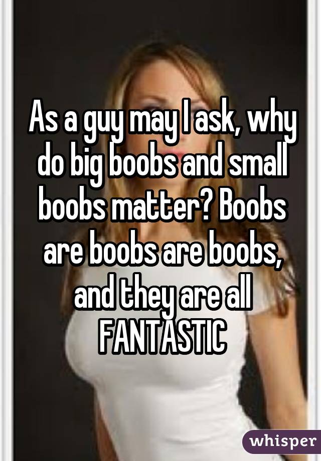 As a guy may I ask, why do big boobs and small boobs matter? Boobs are boobs are boobs, and they are all FANTASTIC