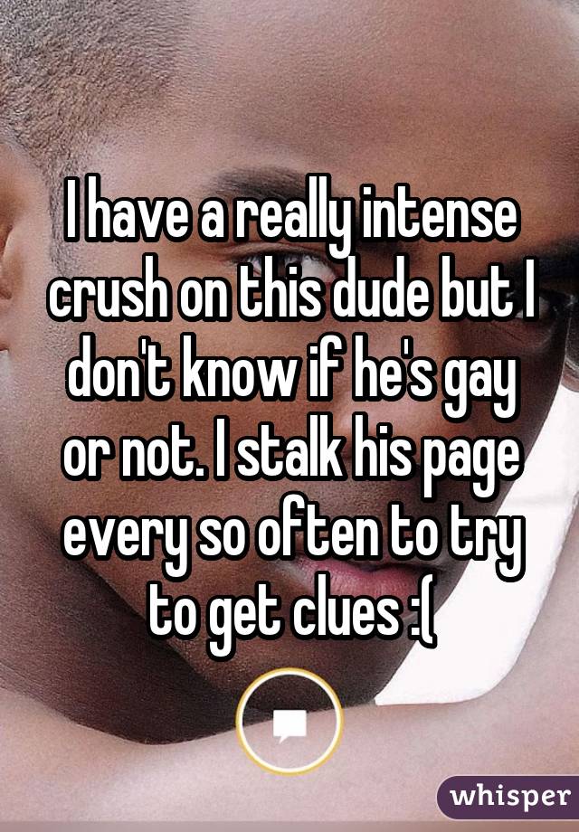 I have a really intense crush on this dude but I don't know if he's gay or not. I stalk his page every so often to try to get clues :(