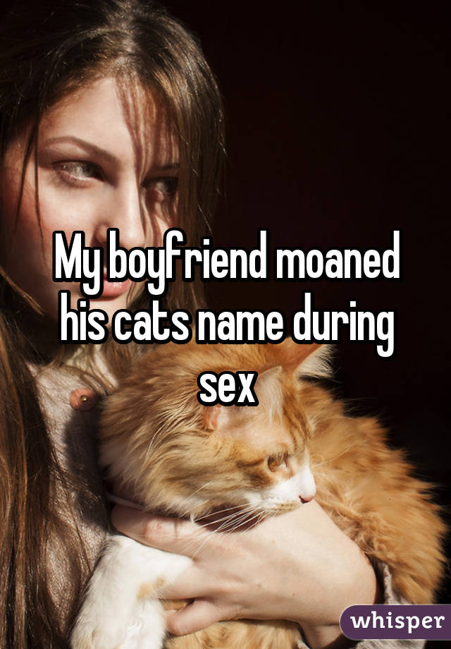 My boyfriend moaned his cats name during sex