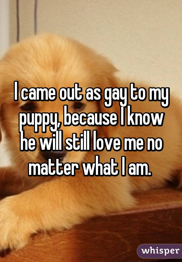 I came out as gay to my puppy, because I know he will still love me no matter what I am. 