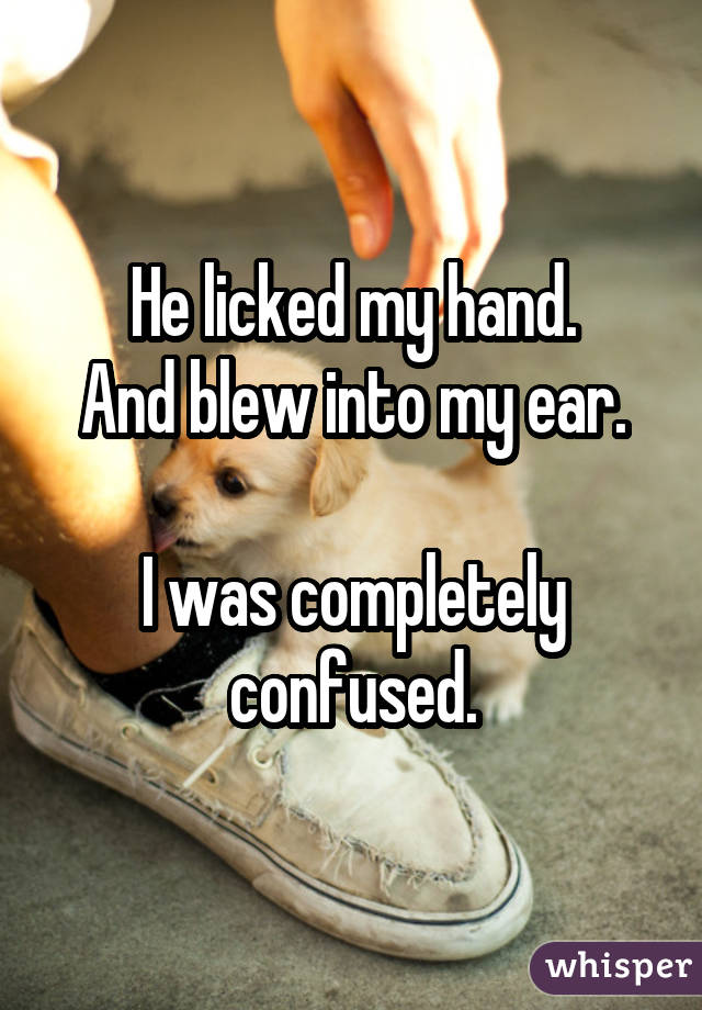 He licked my hand. And blew into my ear. I was completely confused.