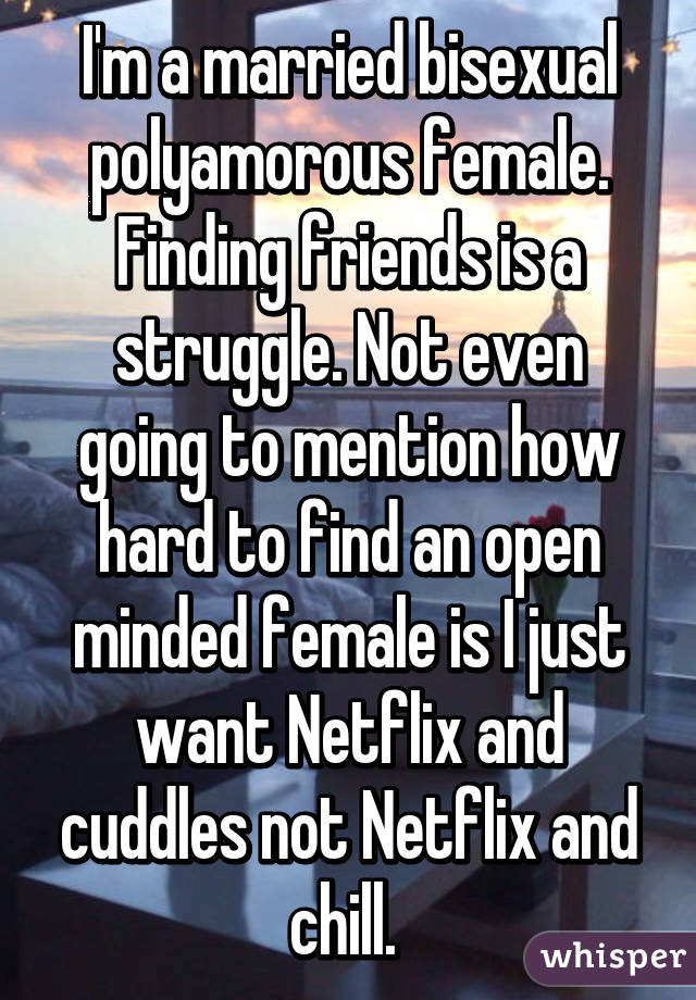 I'm a married bisexual polyamorous female. Finding friends is a struggle. Not even going to mention how hard to find an open minded female is I just want Netflix and cuddles not Netflix and chill. 