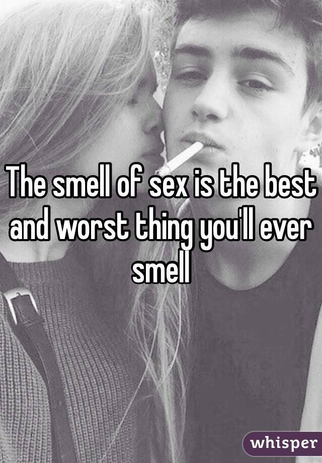 The smell of sex is the best and worst thing you'll ever smell 