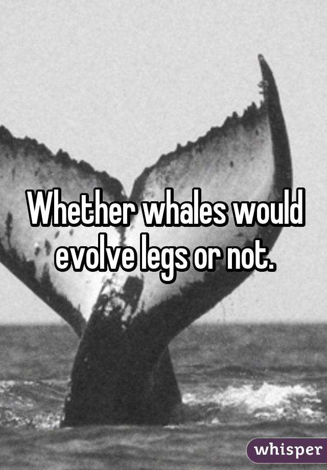 Whether whales would evolve legs or not.