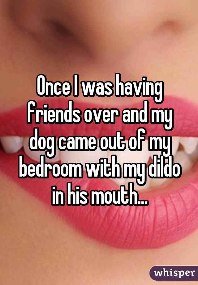 Once I was having friends over and my dog came out of my bedroom with my dildo in his mouth...