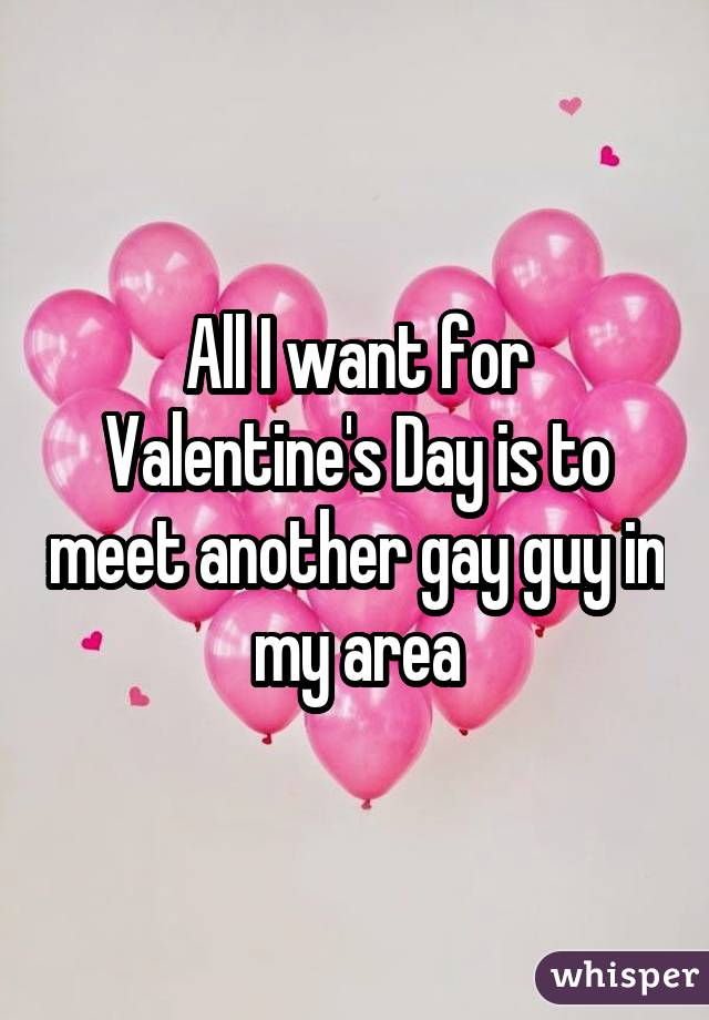 All I want for Valentine's Day is to meet another gay guy in my area
