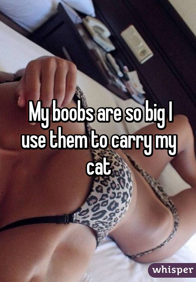  My boobs are so big I use them to carry my cat